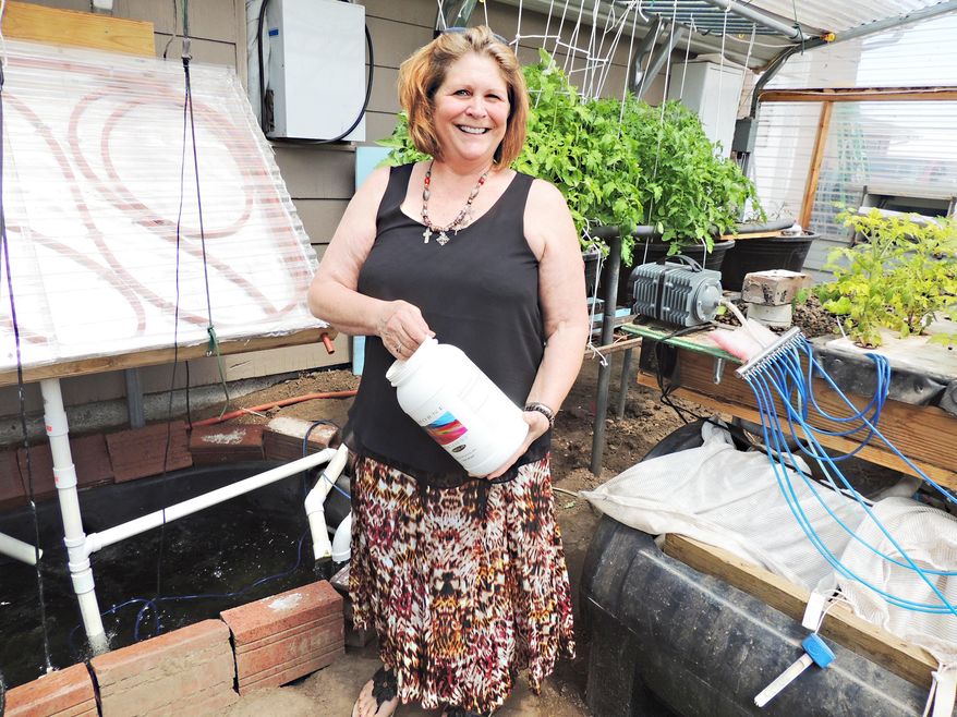ADVANCE FOR USE SUNDAY, MAY 24 - In this photo taken My 1, 2015, Mary Kircher pose for a photo as she feeds food pellets to the tilapia growing in a tank in the greenhouse of her home in McCook, Neb. Her business, OYUM, will produce tilapia and vegetables using an aquaponic system set up in the greenhouse. Aquaponics is a method where water is recycled and re-used, with every drop of water put to use. (Lorri Sughroue/Daily Gazette via AP)