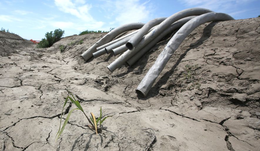 Gov. Jerry Brown favors high-speed rail over water-catching infrastructure in parched California, which may harm the Democrats&#x27; chances of holding retiring Sen. Barbara Boxer&#x27;s seat. (Associated Press)