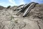5_272015_california-drought-water-148201.jpg