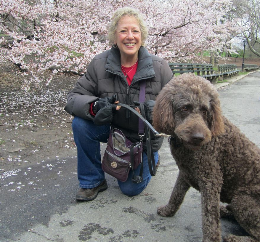 In this April 2014 photo provided by B.L. Ochman, Ochman poses with dog Benny, an 80-pound labradoodle in New York's Central Park. Hotels ranging from major chains to small outposts are capitalizing on the wave of travelers who bring their dogs, some by charging for perks that pamper pets and others by expanding fees. What started as a basic, one-time pet fee has blossomed into a per-night charge at many places and costs that can total hundreds. (Dominique Milbank/Courtesy of B.L. Ochman via AP)