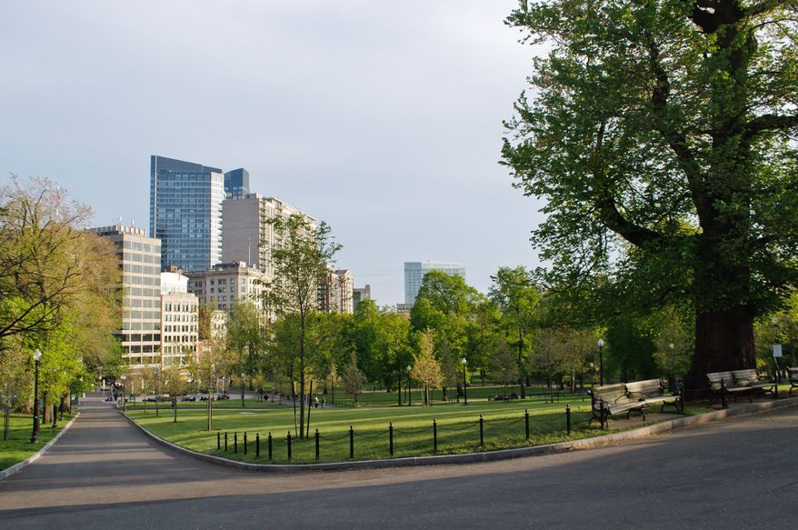 Boston Common (Boston, MA) -
Boston Common is a central public park in downtown Boston, and is the oldest city park in the United States. The Common was used as a camp by the British before the American Revolutionary War, from which they left for the Battle of Lexington and Concord. The grassy area of the park is used for its largest events, in which famous individuals such as Martin Luther King Jr. and Pope John Paul II have made speeches. There is a public ice-skating rink, softball field, and multiple historic memorials throughout the park.