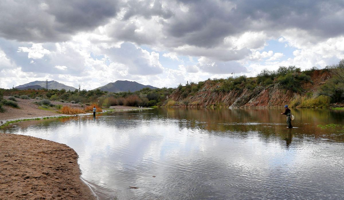 NextImg:Fake alligator put in Arizona park by local officials stumps residents