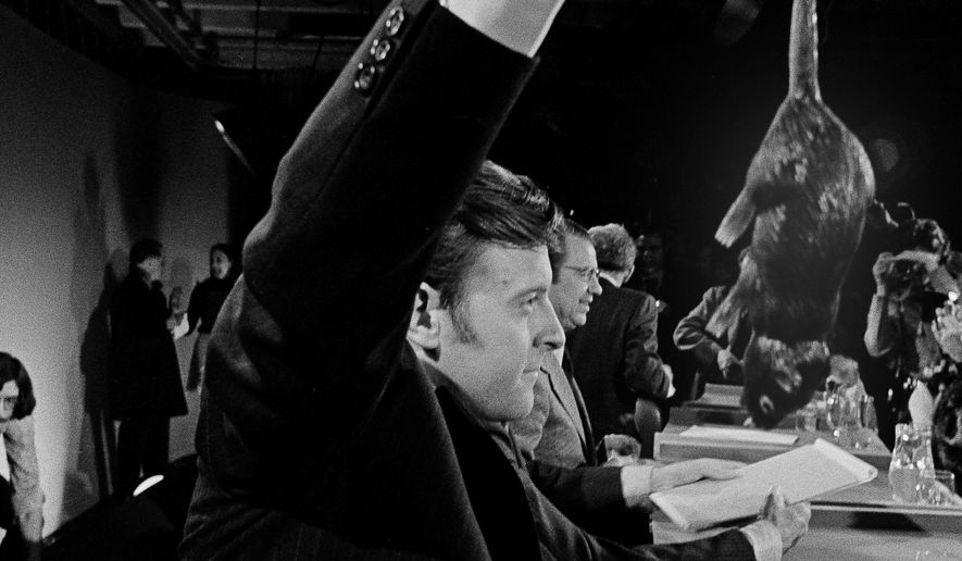 FILE- In this March 6, 1972 file photo presidential candidate Edward T. Coll of Hartford, Conn., swings a rubber rat that he used during the television debate among five Democratic presidential candidates in Durham, N.H., But 75-year-old Ned Coll, who has outlived the four other Democratic candidates he faced that night, is considering another presidential campaign. AP Photo/J. Walter Green/FILE)
