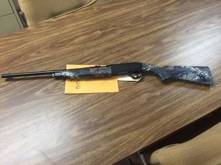 (Image: Holly Hill Police Department)