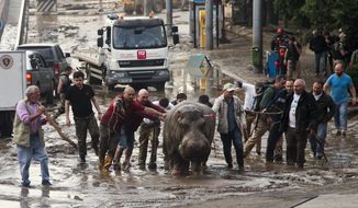 A Sunday, June 14, 2015, file photo of people assisting a hippopotamus that has been shot with a tranquilizer dart after it escaped from a flooded zoo in Tbilisi, Georgia, Sunday, June 14, 2015. (AP Photo/Tinatin Kiguradze, File)