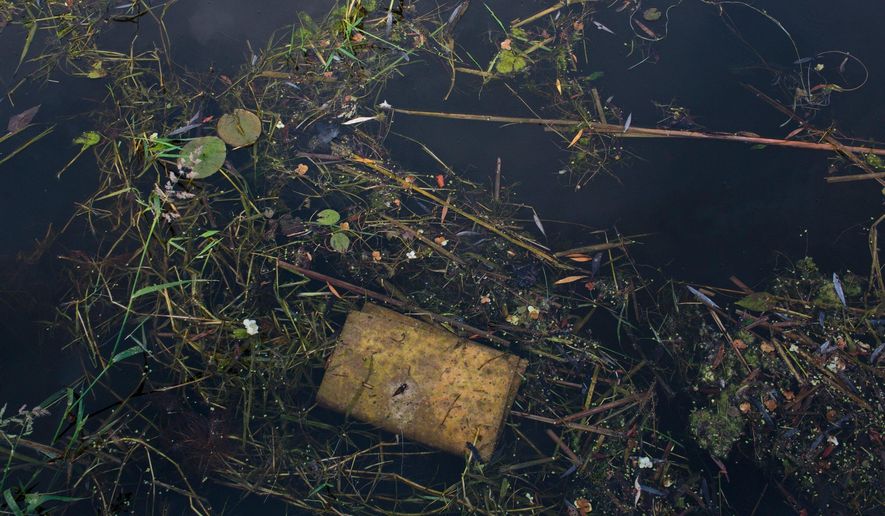 An oil absorption pad sits in weeds on the surface of the water in Fenner's Ditch bayou off of Bear Lake in North Muskegon, Mich., on June 12, 2015. The government is looking into what it would take to clean up the western Michigan lake that has had oil seeping into it for more than two decades. The Michigan Department of Environmental Quality and the U.S. Environmental Protection Agency asked consulting companies to quote a price for conducting a feasibility study on the Bear Lake project. (Joel Bissell/The Muskegon Chronicle via AP) ALL LOCAL TELEVISION OUT; LOCAL TELEVISION INTERNET OUT