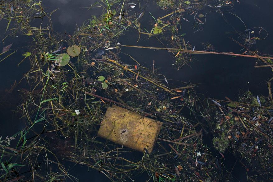 An oil absorption pad sits in weeds on the surface of the water in Fenner's Ditch bayou off of Bear Lake in North Muskegon, Mich., on June 12, 2015. The government is looking into what it would take to clean up the western Michigan lake that has had oil seeping into it for more than two decades. The Michigan Department of Environmental Quality and the U.S. Environmental Protection Agency asked consulting companies to quote a price for conducting a feasibility study on the Bear Lake project. (Joel Bissell/The Muskegon Chronicle via AP) ALL LOCAL TELEVISION OUT; LOCAL TELEVISION INTERNET OUT