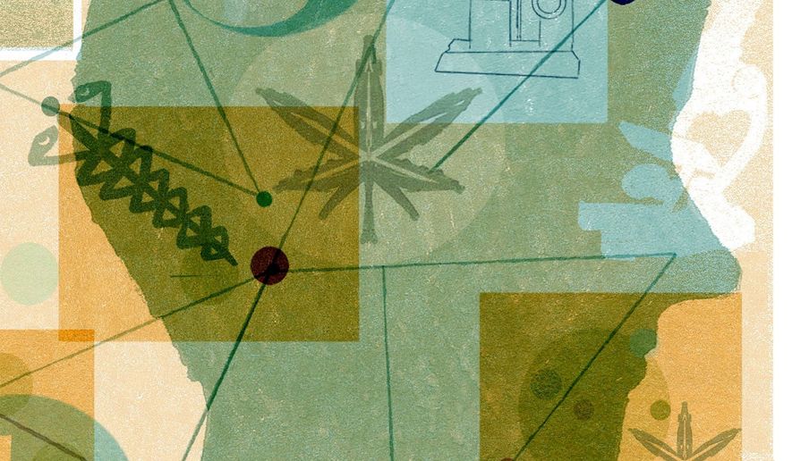 Illustration on medicinal marijuana by Donna Grethen/Tribune Content Agency