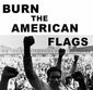 Burn American Flag.jpg