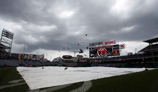 Birds fly over the tarp on the field as the rain falls before a baseball game between the Washington Nationals and the Cincinnati Reds at Nationals Park, Wednesday, July 8, 2015, in Washington. (AP Photo/Alex Brandon)