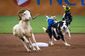 20150619 UMPS_0020.jpg