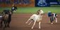20150619 UMPS_0022 (1).jpg