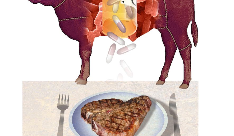 Illustration on the panic around the use of antibiotics in livestock by Alexander Hunter/The Washington Times