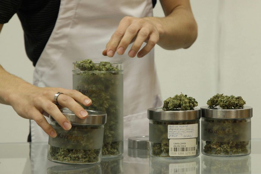 FILE - In this June 26, 2015, file photo, Bear Westerlind, an employee at the medical marijuana dispensary Kaya Shack in Portland, Ore., displays different types of marijuana flowers sold at the shop. Applications for permits to open new medical marijuana dispensaries are growing as the Oct. 1 date approaches when they will be allowed to sell retail marijuana to anyone over 21. (AP Photo/Gosia Wozniacka, File)