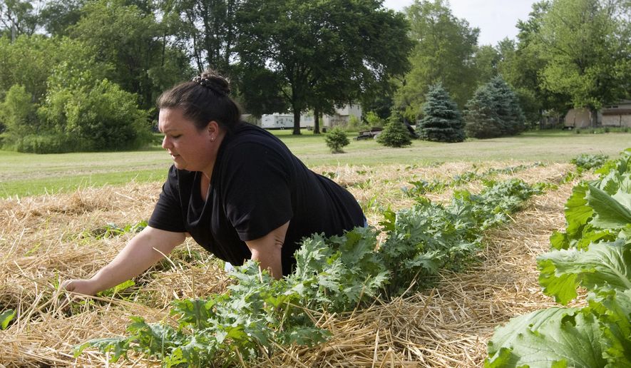 In this photo taken May 29, 2015, Cheyanne Marston lays down straw to cut down on weeds and to help keep in the moisture at one of her two garden patches in Decatur, Ill. Last year she only had to water these gardens twice. She is preparing for the start of the farmers market season. (Lisa Morrison/Herald & Review via AP)