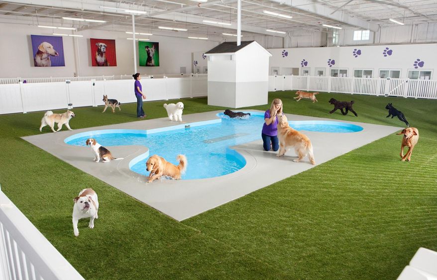 This undated artist rendering provided by Classic Communications courtesy of ARK Development depicts Paradise 4 Paws, a holding area for dogs in a new luxury terminal at New York's John F. Kennedy International Airport. The privately owned ARK, as it's called, will handle the more than 70,000 animals that pass through JFK each year, including dogs, cats, horses, cows, birds, sloths and aardvarks. It will sit on the site of an unused cargo terminal leased from the Port Authority of New York and New Jersey that runs the airport. (Classic Communications courtesy of ARK Development via AP)