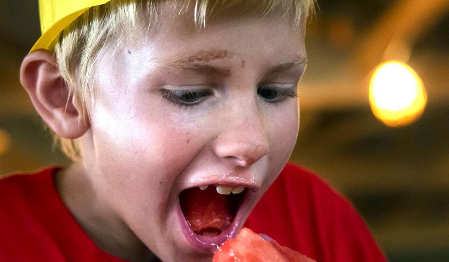 FOR USE ON SUNDAY, JULY 19, 2015 - In this photo taken on Thursday, July 9, 2015, Chancellor Carneal, 8, of Caroline, competes in the watermelon eating contest at the Caroline County Agricultural Fair in Ruther Glen, Va. (Sarah Ann Jump/The Free Lance-Star via AP) MANDATORY CREDIT