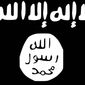 The ISIS flag