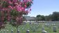 ArlingtonNational.jpg