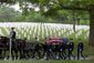 8_132015_mccain8201.jpg