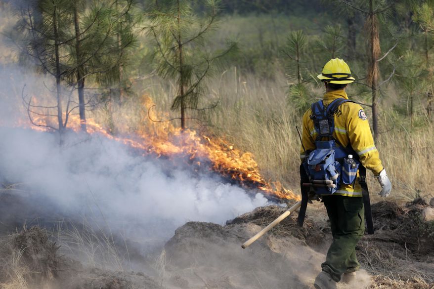 A firefighter looks over a controlled fire being used to burn out an area between a house and the main fire Saturday, Aug. 22, 2015, in Okanogan, Wash. Out-of-control blazes in north-central Washington have destroyed buildings, but the situation is so chaotic that authorities have "no idea" how many homes may have been lost. (AP Photo/Elaine Thompson)