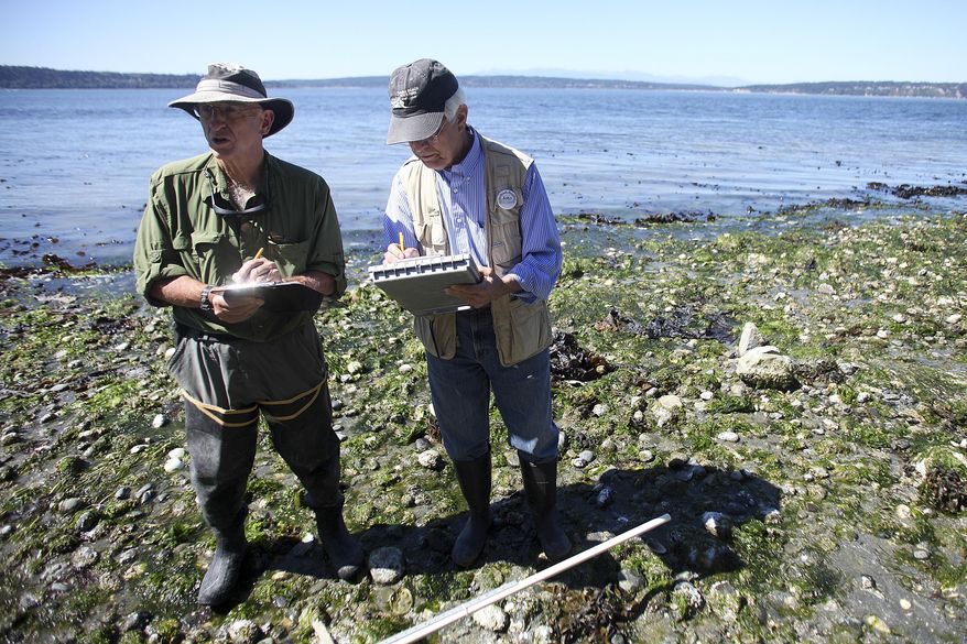 In this July 30, 2015 photo, volunteers Michael Kyte, left, and John Custer take notes on sea-star populations observed at Camano Island State Park in Wash. (Ian Terry/The Herald via AP) MANDATORY CREDIT
