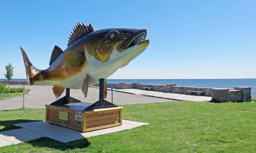In an Aug. 25, 2015 photo, a walleye statue in Garrison, Minn., sits next to Lake Mille Lacs, where resort and business owners say the Department of Natural Resources's decision to end the walleye fishing season early on the lake is having an impact on their bottom lines. Local businesses are tallying losses and trying to get a read from state officials about what comes next for Mille Lacs walleye. Some want to see a long-term plan to restore the fishery. Others are pressing the Minnesota Department of Natural Resources to allow an ice fishing season for walleye on the lake when the current ban on keeping the fish ends Nov. 30. (Tom Scheck/MPR News via AP)