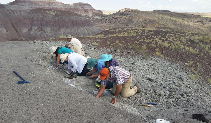 In this photo taken Saturday, Aug. 8, 2015 and released by the National Parks Service, a group of citizens digs for fossils at Petrified Forest National Park near Holbrook, Ariz. One of the amateur paleontologists discovered a jaw bone from a long-snouted fish that lived more than 220 million years ago. (National Park Service via AP)