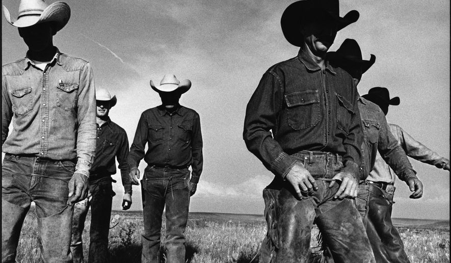 This photograph titled &amp;quot;Cowboys Walking,&amp;quot; by Laura Wilson at J. R. Green Cattle Company in Shackelford County, Texas, May 13, 1997, is one the Dallas photographer&#x27;s images of the American West featured in a new exhibit at a Fort Worth museum. The exhibit titled &amp;quot;That Day: Laura Wilson&amp;quot; opened Saturday, Sept. 5, 2015, at the Amon Carter Museum of American Art. The exhibit featuring more than 70 of her photographs runs through Feb. 14.  (Laura Wilson/Amon Carter Museum of American Art via AP)