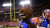 04 - Boise Buster Bronco.jpg