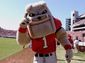 14 - Georgia Hairy Dawg.jpg