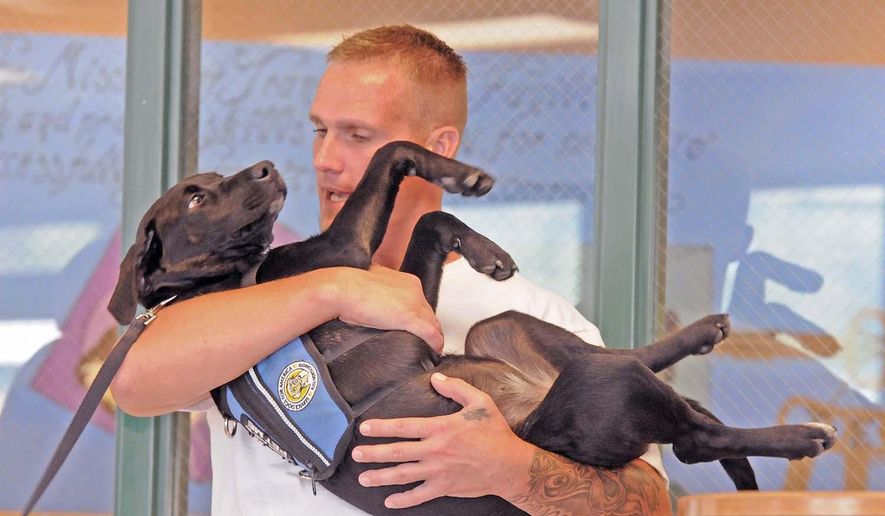 Puppies Help Inmates In Bismarck Do Time Make A Difference 17 2017 Photo Randal Carswell Holds Dallas During The Training