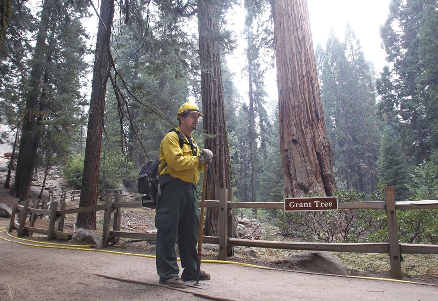 Fire fighter Luis Magana stands guard at the General Grant tree at Grant Grove in Kings Canyon National Park, Calif., Saturday, Sept. 12, 2015. (AP Photo/Gary Kazanjian)