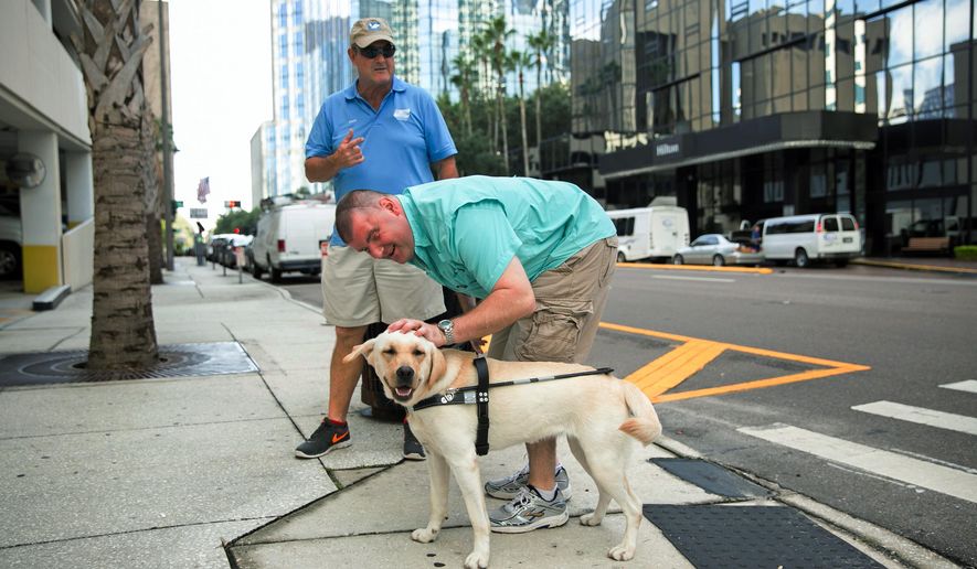 In this Aug. 18, 2015, photo provided by Southeastern Guide Dogs, Michael Jernigan strokes the head of his guide dog Treasure as he navigates the streets of Tampa, Fla., with Southeastern Guide Dogs training director Rick Holden. Jernigan lost his eyesight and part of his brain when a roadside bomb ripped into his Humvee in Iraq in 2004. He has undergone more than 30 surgeries. But he insists, thanks to a couple of dogs, he found more than he lost. (Esther McFarland/Southeastern Guide Dogs via AP)