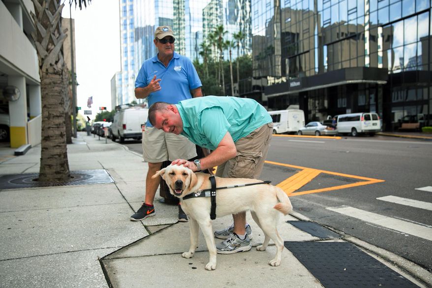 In this Aug. 18, 2015, photo provided by Southeastern Guide Dogs, Michael Jernigan strokes the head of his guide dog Treasure as he navigates the streets of Tampa, Fla., with Southeastern Guide Dogs training director Rick Holden. Jernigan lost his eyesight and part of his brain when a roadside bomb ripped into his Humvee in Iraq in 2004. He has undergone more than 30 surgeries. But he insists, thanks to a couple of dogs, he found more than he lost. (Esther McFarland/Southeastern Guide Dogs via AP)