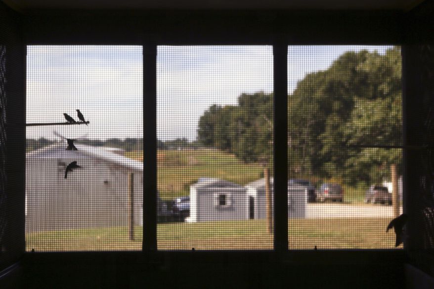 In this Sept. 16, 2015 photo, houses finches are kept in Virginia Tech's new research aviary on the campus in Blacksburg, Va. The enclosure allows researchers to study birds in seminatural environments while protecting them from predators and extreme weather. (Matt Gentry/The Roanoke Times via AP)