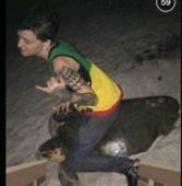 TURTLE.jpg