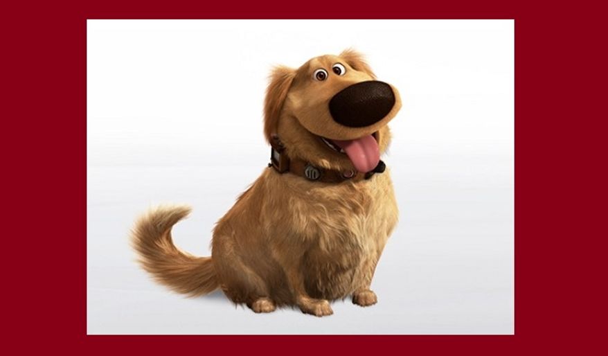 I'm a hunting dog with a very special collar. Who am I?