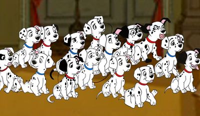 Disney Dog quiz