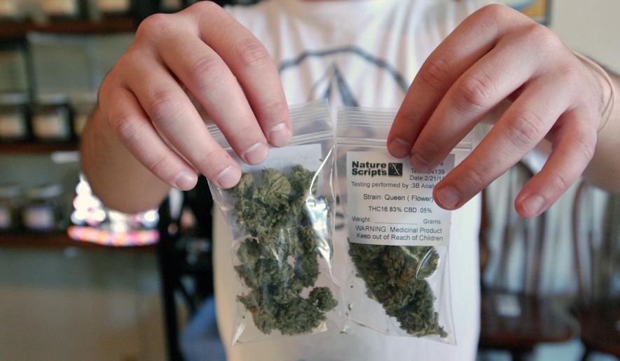 Associate Chris Hewitt holds up 7 gram bags of marijuana buds being prepared for sale at Nature Scripts medical marijuana dispensary in Murphy, Ore., Wednesday, Sept. 30, 2015. The dispensary is one of many across the state preparing for the first day of retail legal sales starting Thursday. (AP Photo/Jeff Barnard)