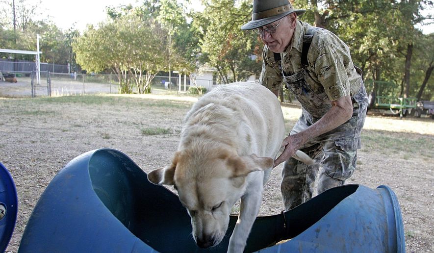 ADVANCE FOR WEEKEND EDITIONS OCT. 3-4 - In this Sept. 24, 2015 photo, Eugene Bostick helps Buddy into car one for his ride around the neighborhood in Fort Worth, Texas. Bostick drives the dogs around the 12 acre property about 2-3 times a week. (Bob Booth/Star-Telegram via AP) MAGS OUT; (FORT WORTH WEEKLY, 360 WEST); INTERNET OUT; MANDATORY CREDIT
