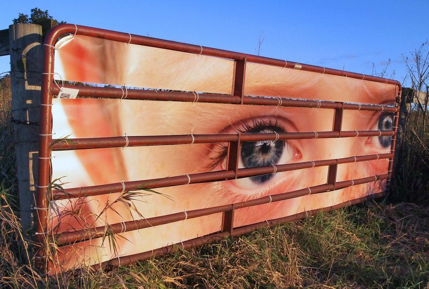 ADVANCE FOR USE MONDAY, OCT. 12 - This recent photo shows part of a series of installations by Madison artist Thomas Ferrella called "A Mutual Curiosity", featuring photographs of the eyes of Sauk County, Wis., residents on gates and fences along the Farm/Art DTour route. (Peter Rebhahn/Baraboo News Republic via AP) MANDATORY CREDIT