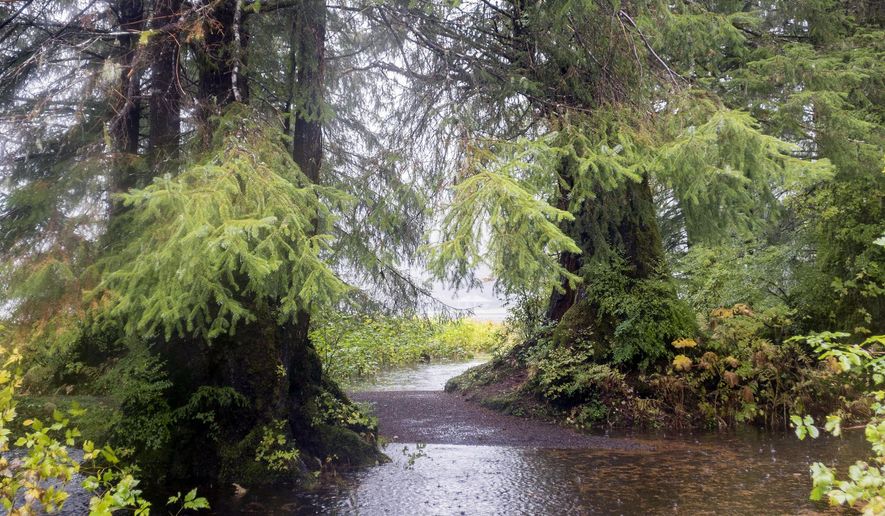 Water from Ward Lake floods the the trail encircling it Thursday, Oct. 8, 2015, near Ketchikan, Alaska. (Taylor Balkom/Ketchikan Daily News via AP) ** FILE **