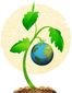 10132015_b4-harr-earth-tomat8201.jpg