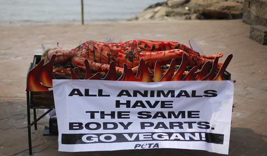 FILE - In this Nov. 6, 2013 file photo, animal rights activist and co-founder of People for the Ethical Treatment of Animals (PETA) Ingrid Newkirk lies on a mock barbecue stand as a sign of protest in Mumbai, celebrating World Vegan Month, a month long celebration of a health, environment- and animal-friendly vegan diet. PETA turns 35 years old in 2015, is the largest animal rights group in world with 3 million members, and has done a lot with a little sex, shock and celebrity.(AP Photo/Rafiq Maqbool, File)