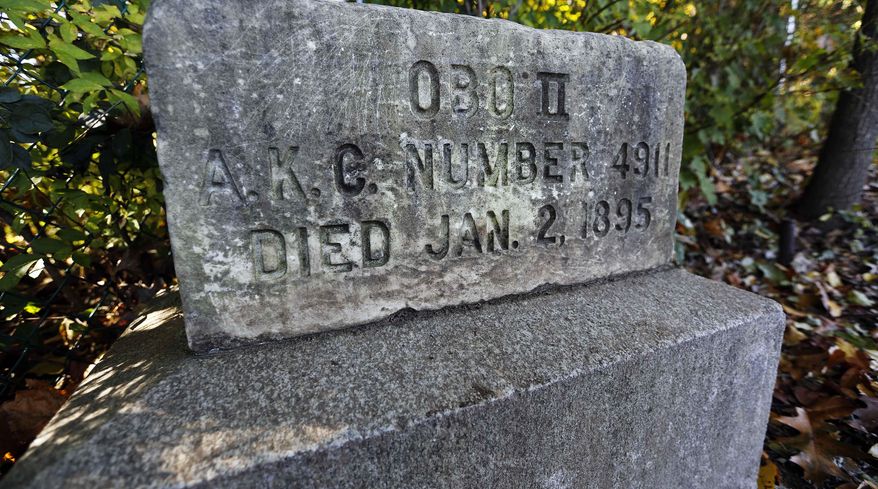 The gravesite of Obo II, a dog considered to be the father of the American Cocker Spaniel, is seen on the grounds of the Rollinsford Grade School Monday, Oct. 26, 2015, in Rollinsford, N.H. It was announced Monday that the school was named to the National Register of Historic Places. (AP Photo/Jim Cole)