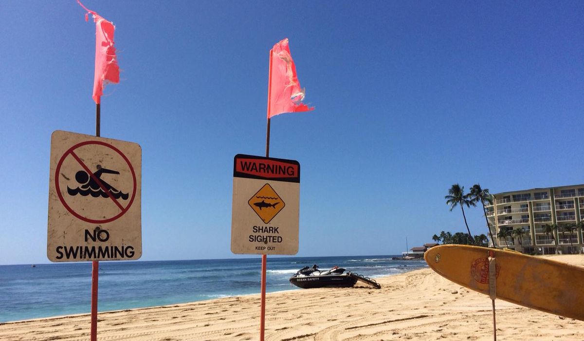 NextImg:Surfer bitten in leg by shark off the coast of Oahu; fourth attack in Hawaii this year