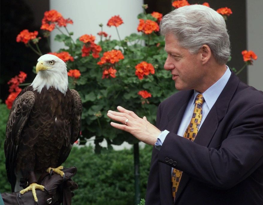 FILE - In this July 2, 1999, file photo, Challenger joins President Bill Clinton at a White House ceremony in Washington. He is considered the first bald eagle trained to fly freely at sports stadiums with his resume featuring three Pro Bowls, five different MLB World Series, a handful of Fiesta Bowls, five Bowl Championship Series games, the NCAA men’s Final Four and a variety of MLB and college football games. Challenger also has flown for five U.S. presidents. (AP Photo/Susan Walsh, File)