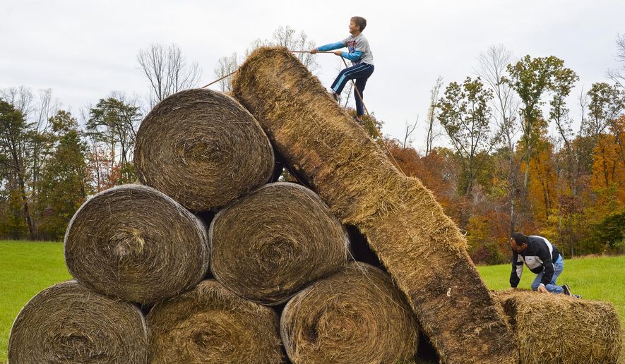 ADVANCE FOR MONDAY NOV. 9 AND THEREAFTER This Saturday Oct. 31, 2015 photo shows Conner Blessing, center, as he gets a head start on his father Kenneth Blessing on an obstacle course at Gritt's Farm in Buffalo, W. Va.The course was built as an activity for older kids who had out grown some of the other play areas at the farm. (Christian Tyler Randolph/Charleston Gazette-Mail via AP)