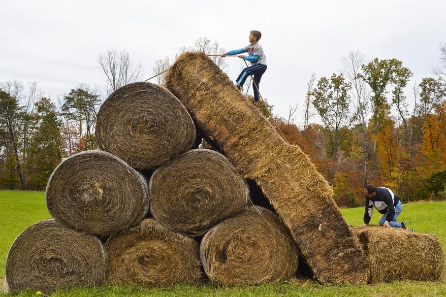 ADVANCE FOR MONDAY NOV. 9 AND THEREAFTER This Saturday Oct. 31, 2015 photo shows Conner Blessing, center, as he gets a head start on his father Kenneth Blessing on an obstacle course at Gritt's Farm in Buffalo, W. Va.The course was built as an activity for older kids who had out grown some of the other play areas at the farm. (Christian Tyler Randolph/Charleston Gazette-Mail via AP)